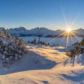 Weihnachtsgruß